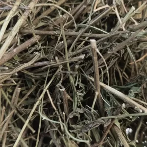 Yapışkan Andız Otu 50 Gr